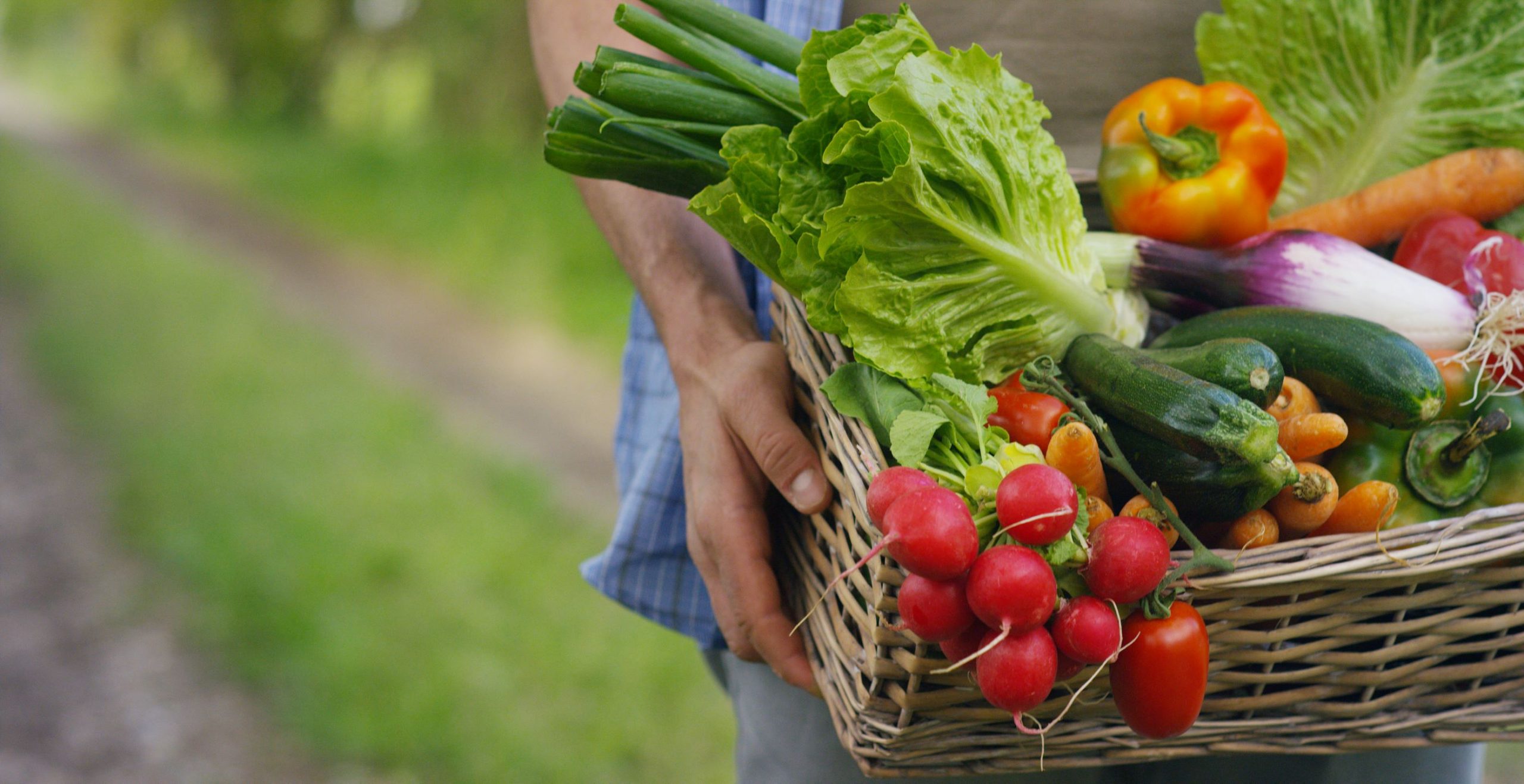 Circuit court - Jardins d'Epicure Traiteur éco responsable et artisanal - Paris & Île de France